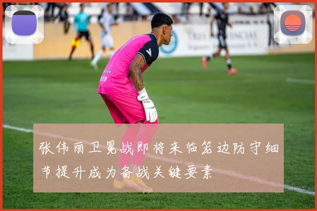 张伟丽卫冕战即将来临笼边防守细节提升成为备战关键要素